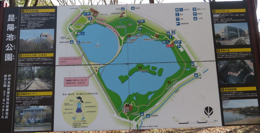 昆陽池公園地図