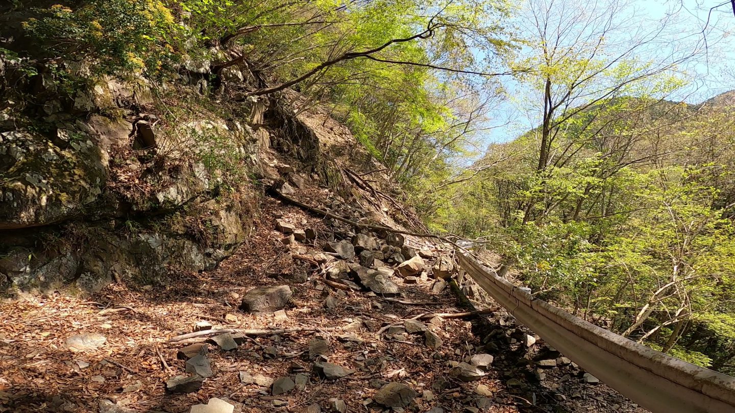 奈良の奥地にヤバすぎる道を発見！【荒れ果てた道路を探検】 生き物サーチング